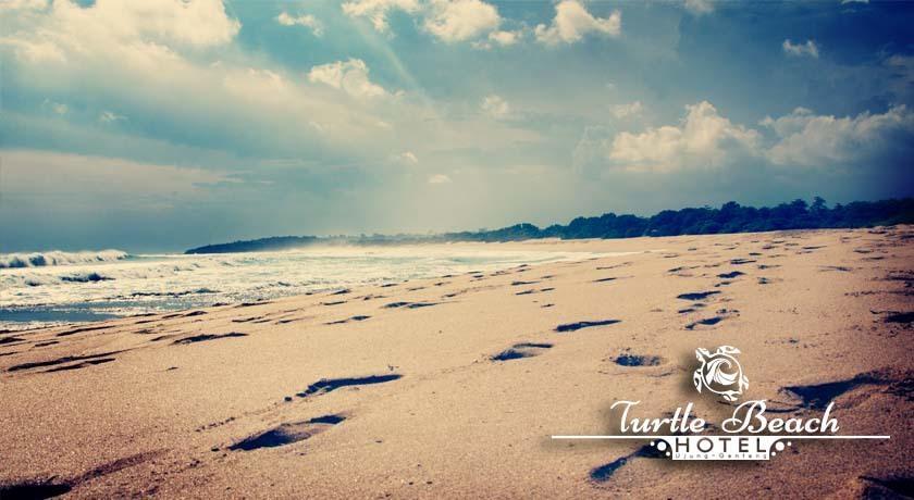 Turtle Beach Hotel Ujunggenteng Kamer foto